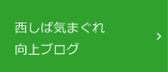 西しば気まぐれ向上ブログ